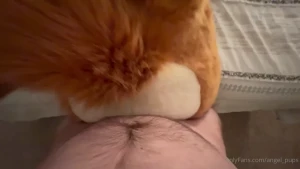 4855919