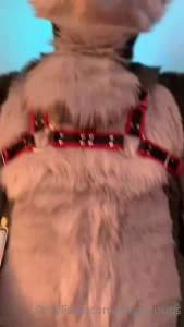 4855936