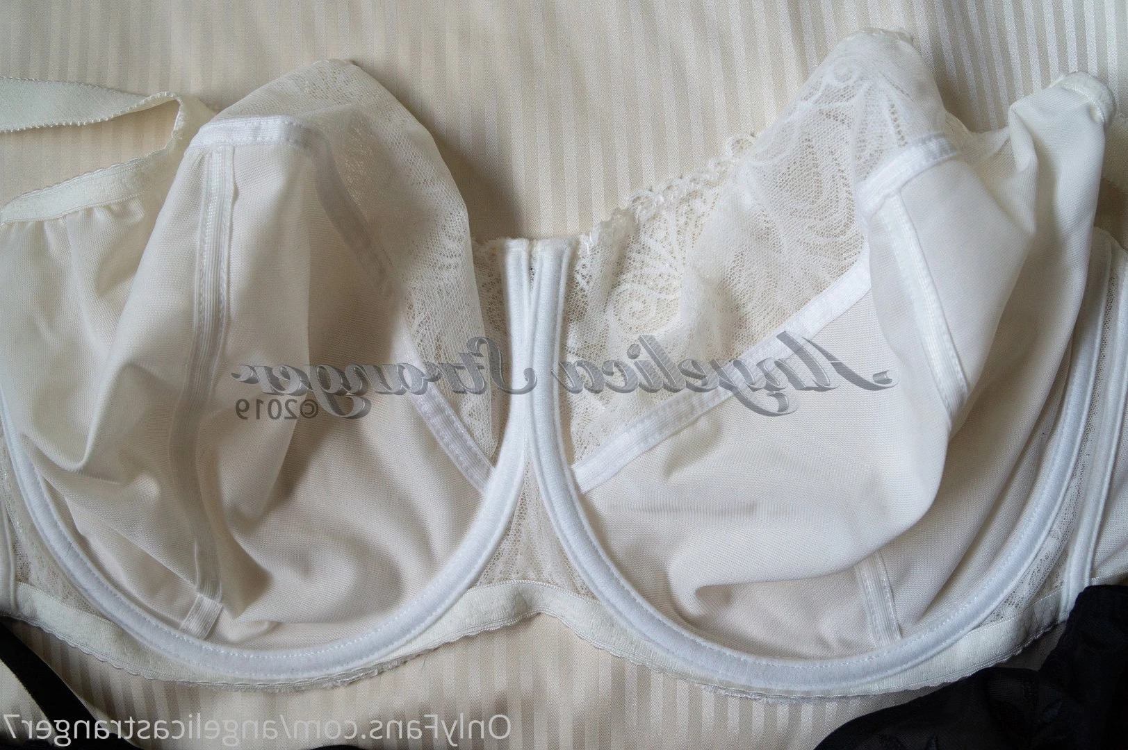 Angelica Stranger [ angelicastranger7 ] Onlyfans leaked photo 4033800 on Hotleaks.tv
