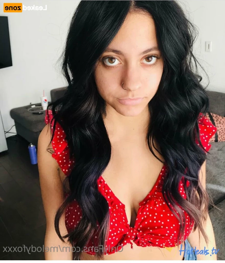 melodyfoxxx Onlyfans leaked photo 14437875 on Hotleaks.tv