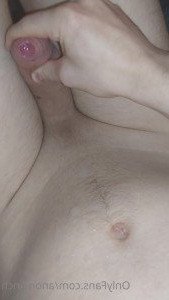 3050917