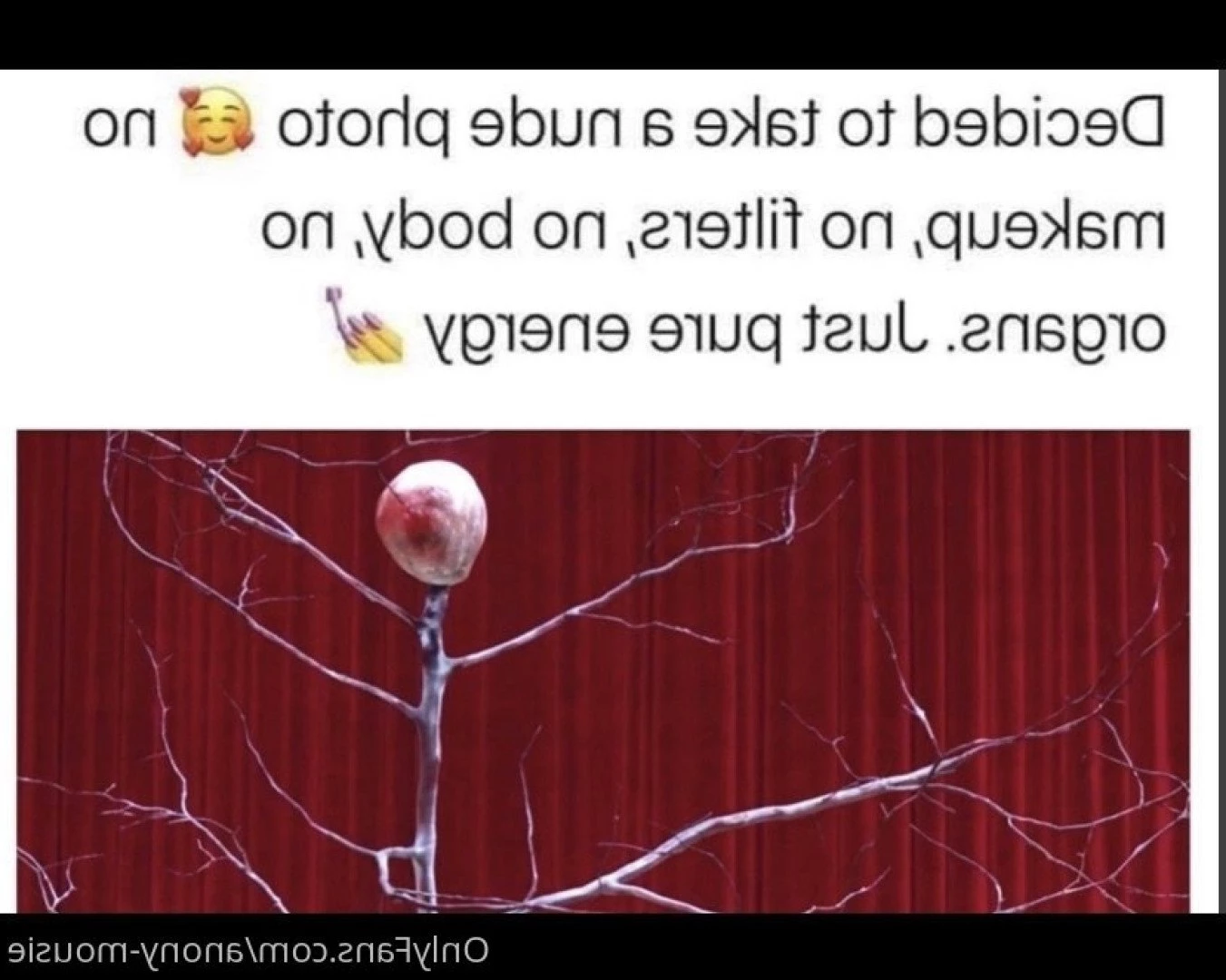 Rose [ anony-mousie ] Onlyfans leaked photo 4053229 on Hotleaks.tv