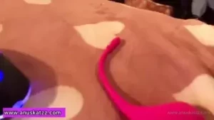 15526603