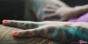 16044618