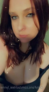 3617160