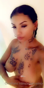10648841