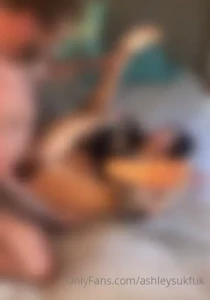 14706561