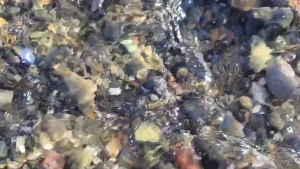 Asiri Ocean [ asiri_ocean ] Onlyfans leaked video 9004406 on Hotleaks.tv