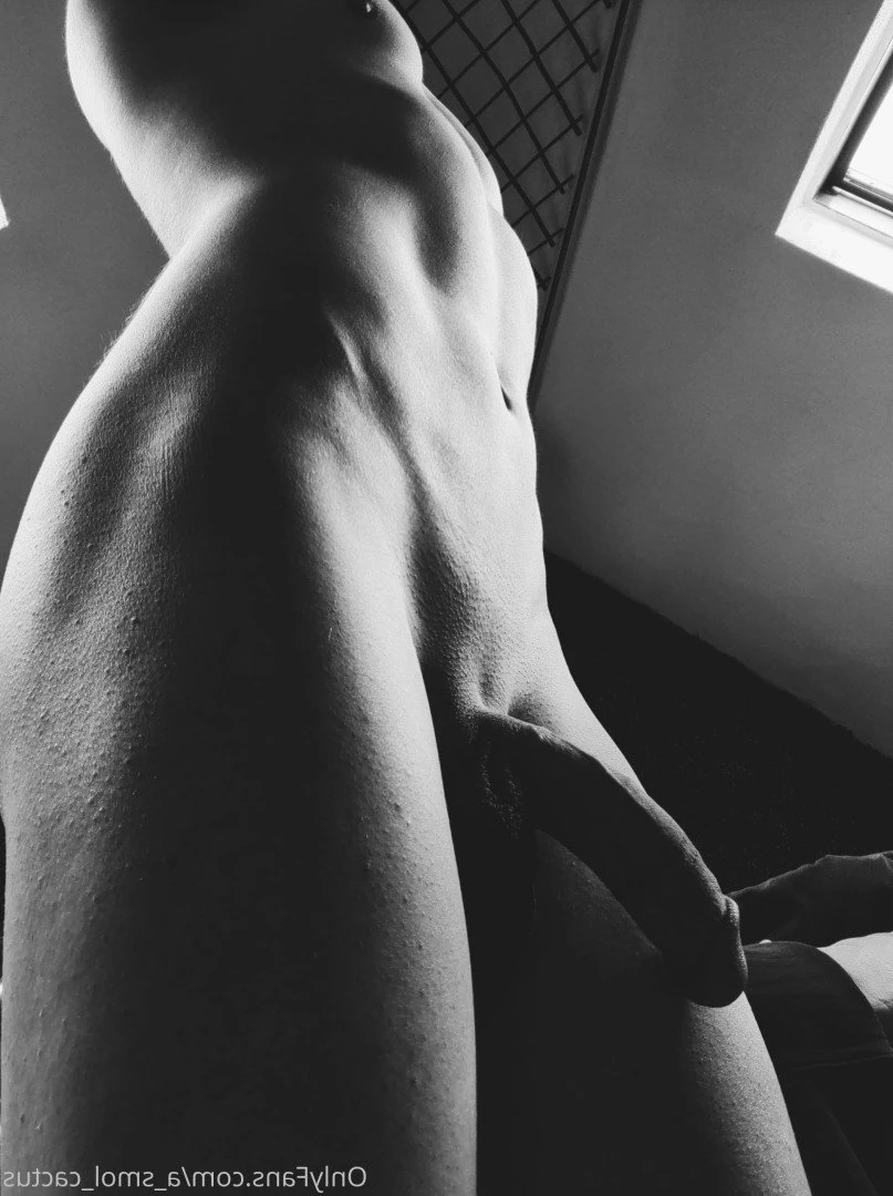 A Smol Cactus [ asmolcactus ] Onlyfans leaked photo 3621382 on Hotleaks.tv