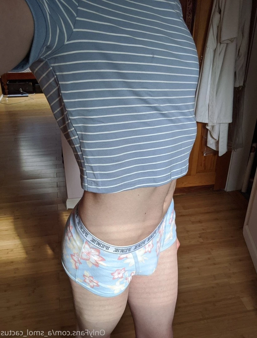 A Smol Cactus [ asmolcactus ] Onlyfans leaked photo 3622529 on Hotleaks.tv