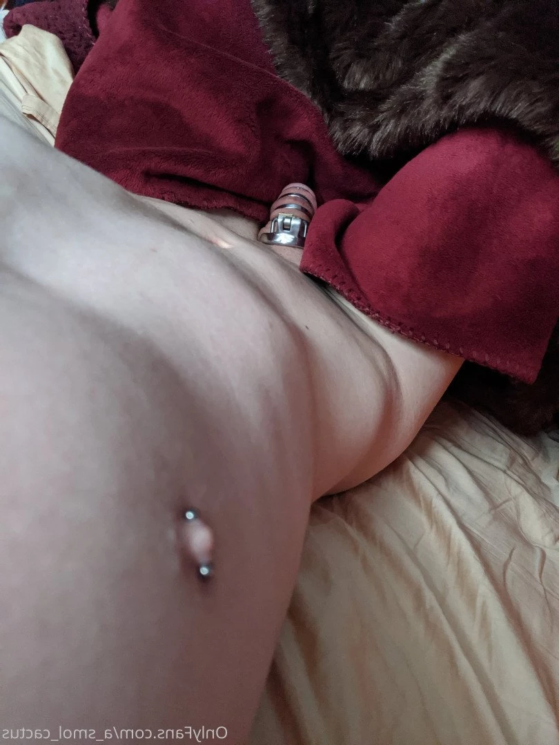 A Smol Cactus [ asmolcactus ] Onlyfans leaked photo 3622723 on Hotleaks.tv