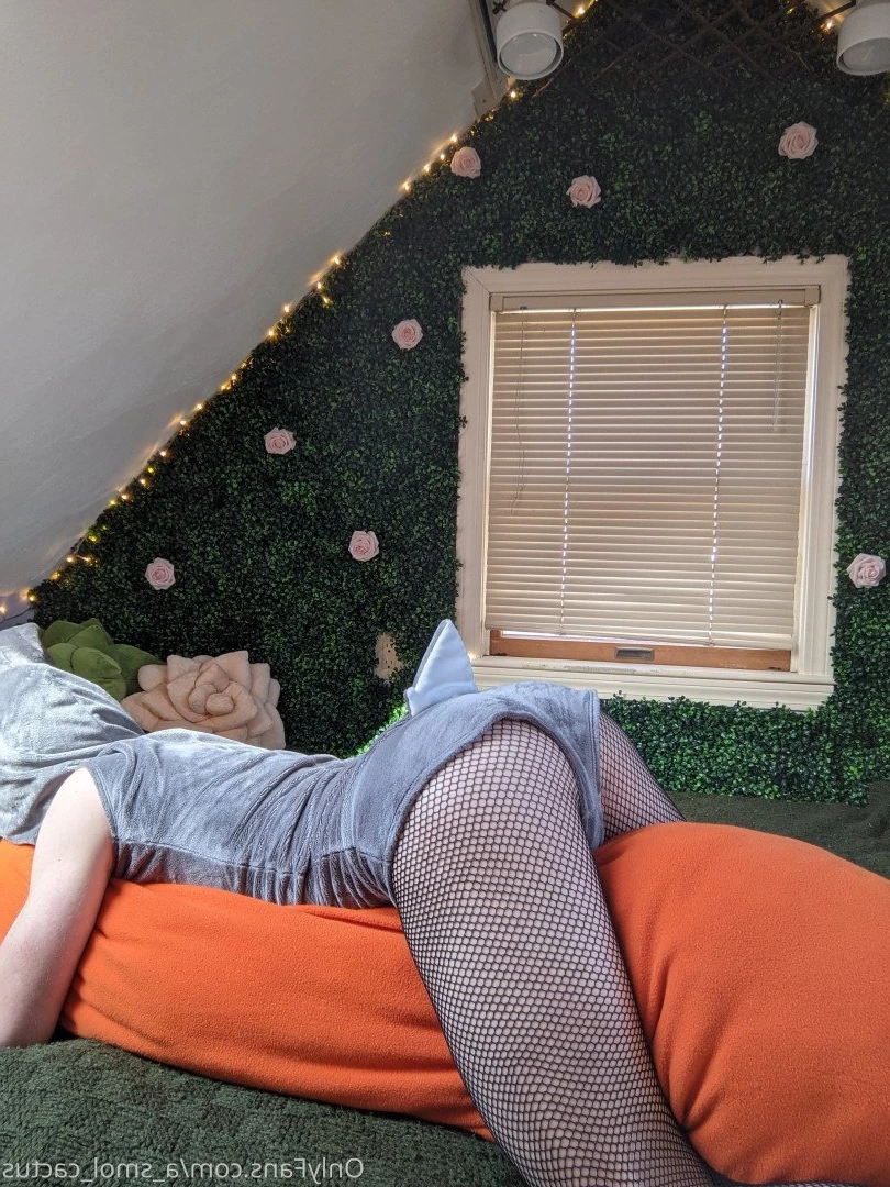 A Smol Cactus [ asmolcactus ] Onlyfans leaked photo 3628963 on Hotleaks.tv
