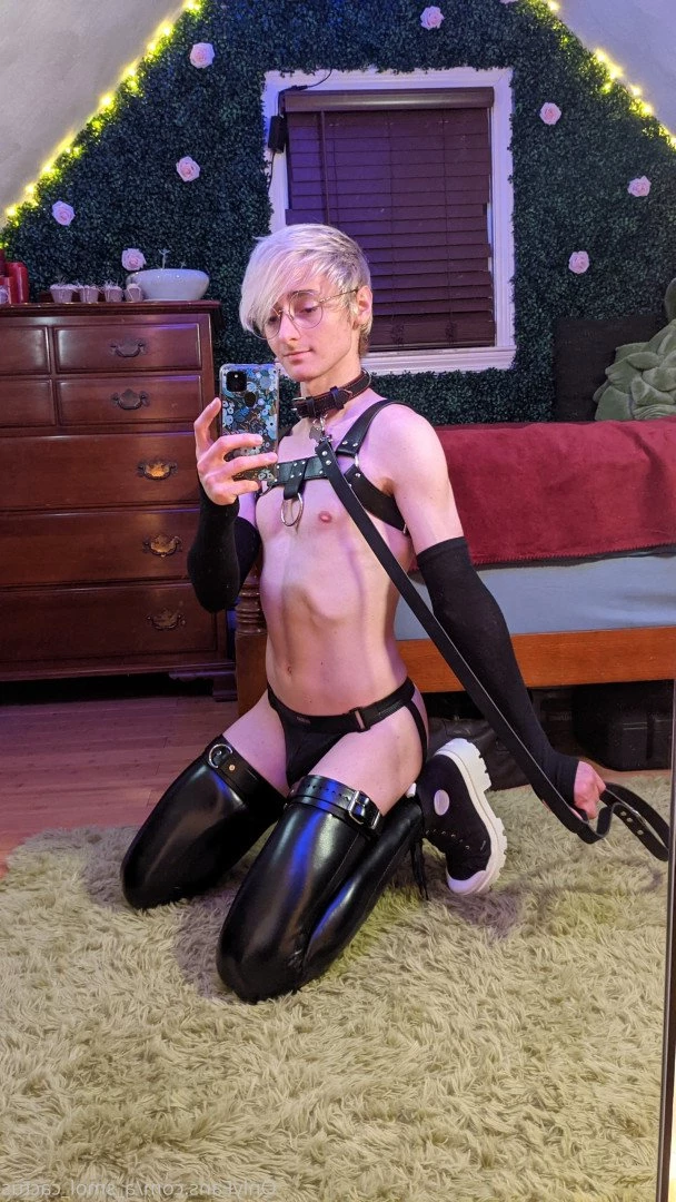 A Smol Cactus [ asmolcactus ] Onlyfans leaked photo 3631227 on Hotleaks.tv