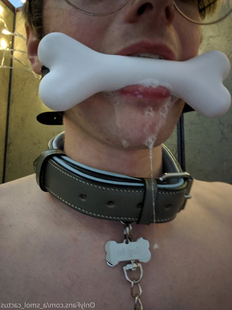 A Smol Cactus [ asmolcactus ] Onlyfans leaked photo 3631999 on Hotleaks.tv