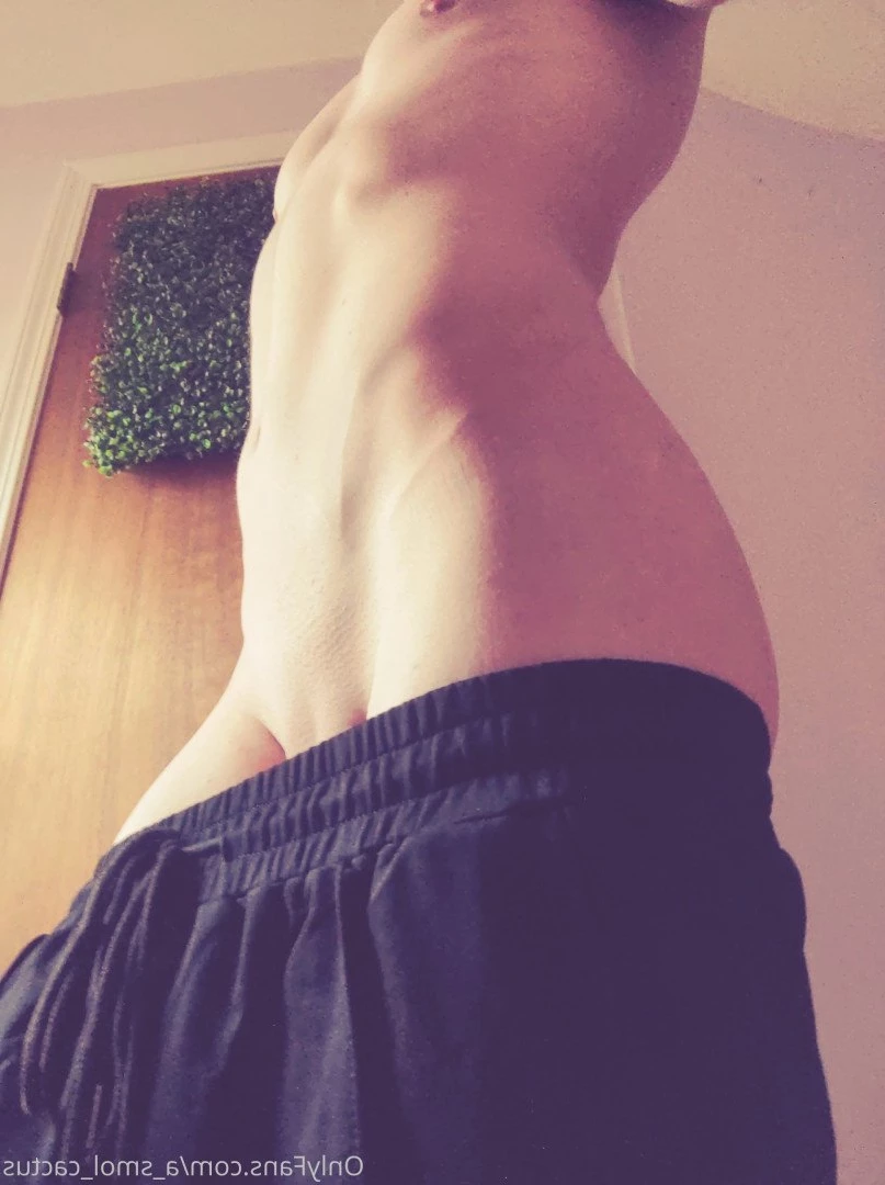 A Smol Cactus [ asmolcactus ] Onlyfans leaked photo 3633821 on Hotleaks.tv