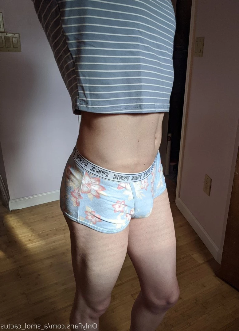 A Smol Cactus [ asmolcactus ] Onlyfans leaked photo 3643146 on Hotleaks.tv