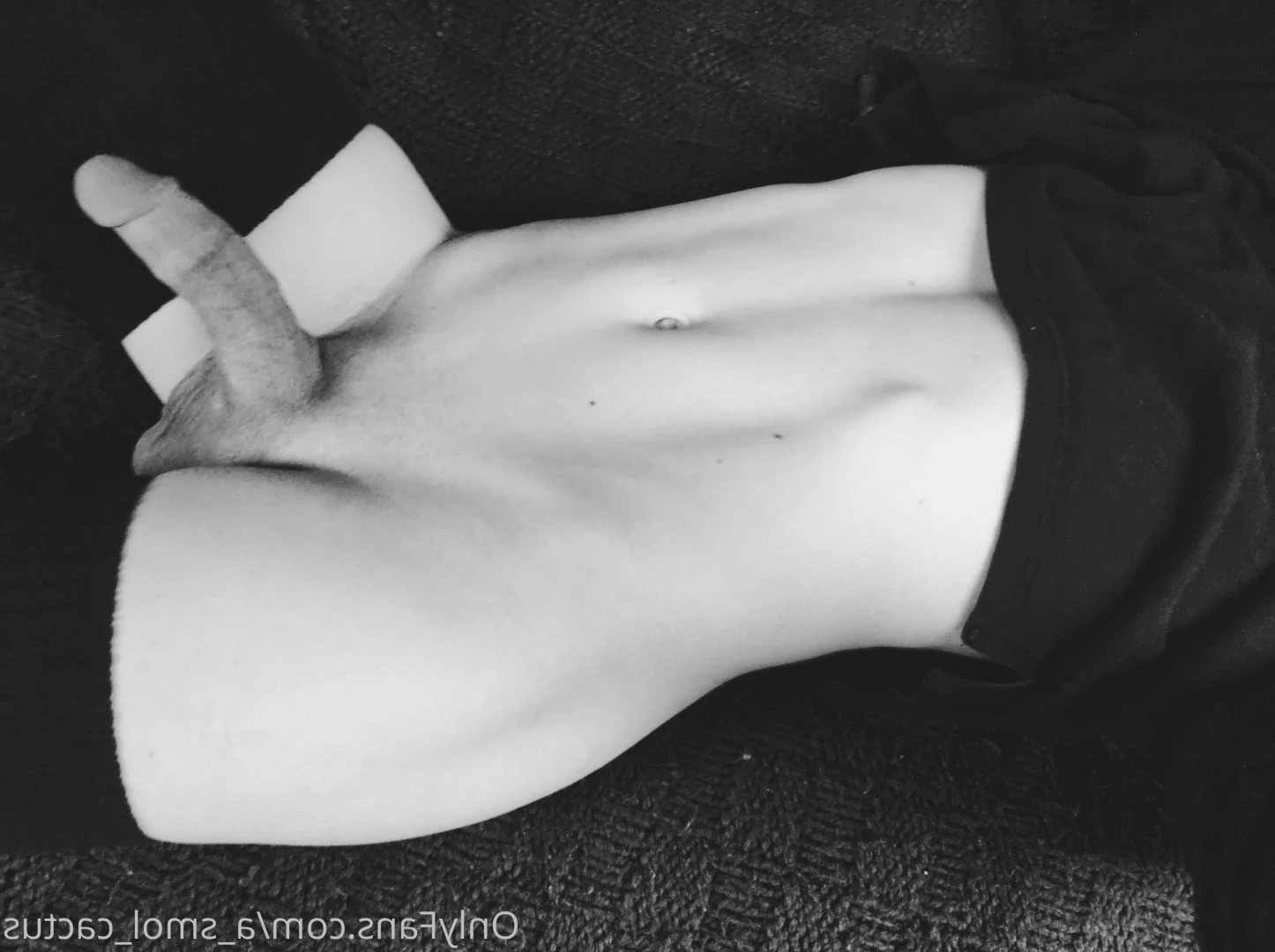 A Smol Cactus [ asmolcactus ] Onlyfans leaked photo 3647055 on Hotleaks.tv