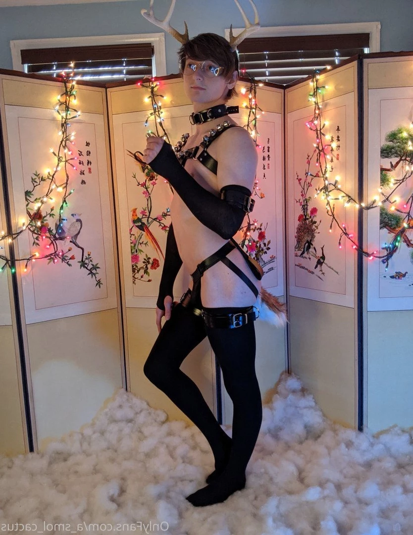 A Smol Cactus [ asmolcactus ] Onlyfans leaked photo 3647437 on Hotleaks.tv