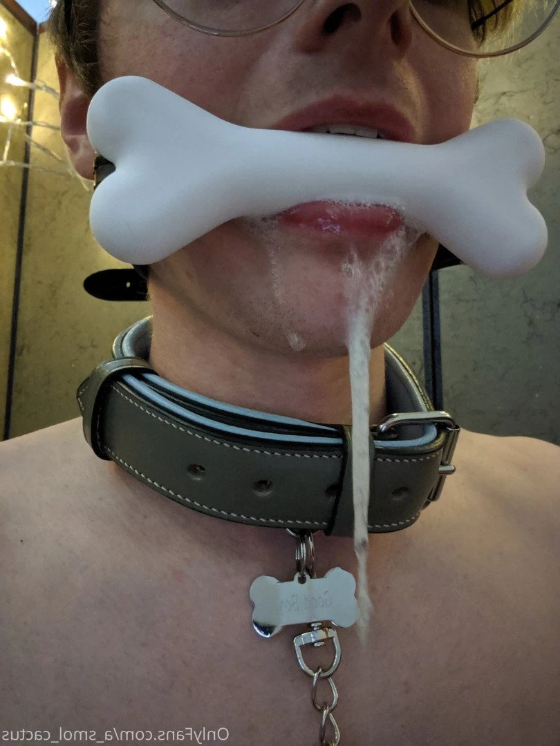A Smol Cactus [ asmolcactus ] Onlyfans leaked photo 3648670 on Hotleaks.tv