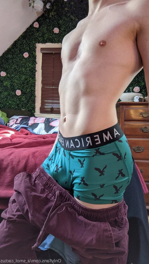 A Smol Cactus [ asmolcactus ] Onlyfans leaked photo 3649072 on Hotleaks.tv