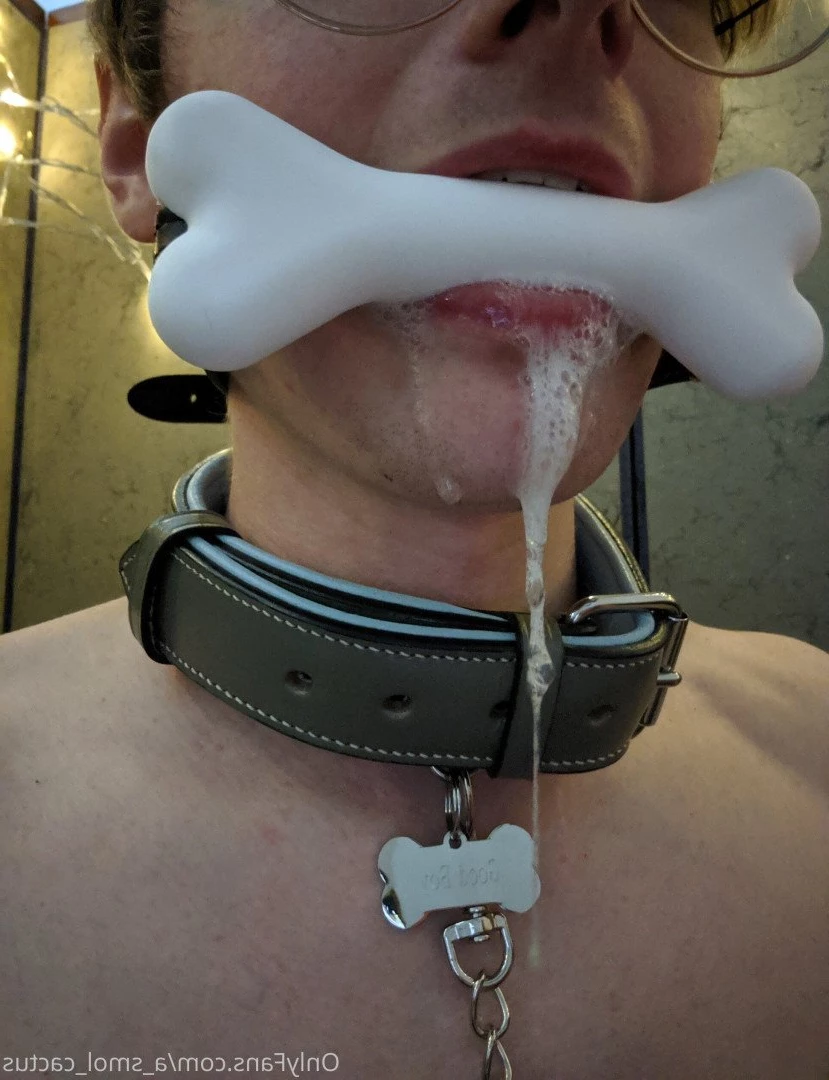 A Smol Cactus [ asmolcactus ] Onlyfans leaked photo 3649837 on Hotleaks.tv
