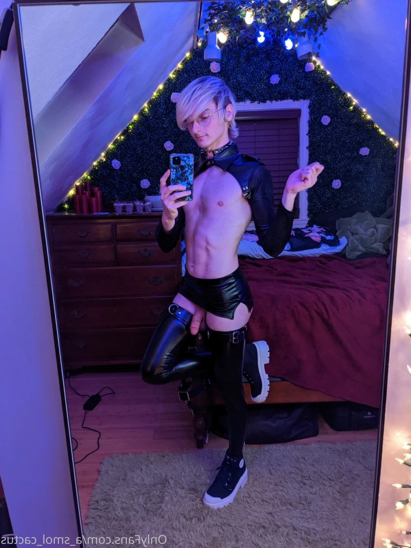 A Smol Cactus [ asmolcactus ] Onlyfans leaked photo 3651395 on Hotleaks.tv