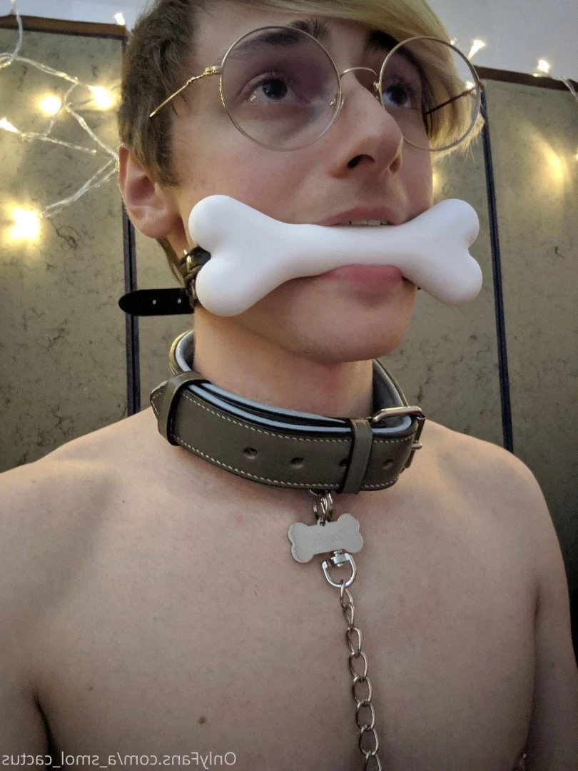 A Smol Cactus [ asmolcactus ] Onlyfans leaked photo 3652578 on Hotleaks.tv