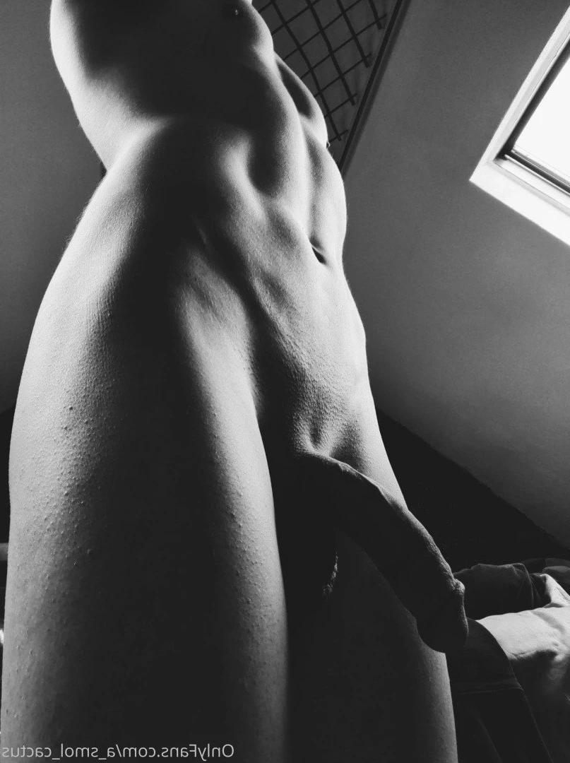A Smol Cactus [ asmolcactus ] Onlyfans leaked photo 3671643 on Hotleaks.tv