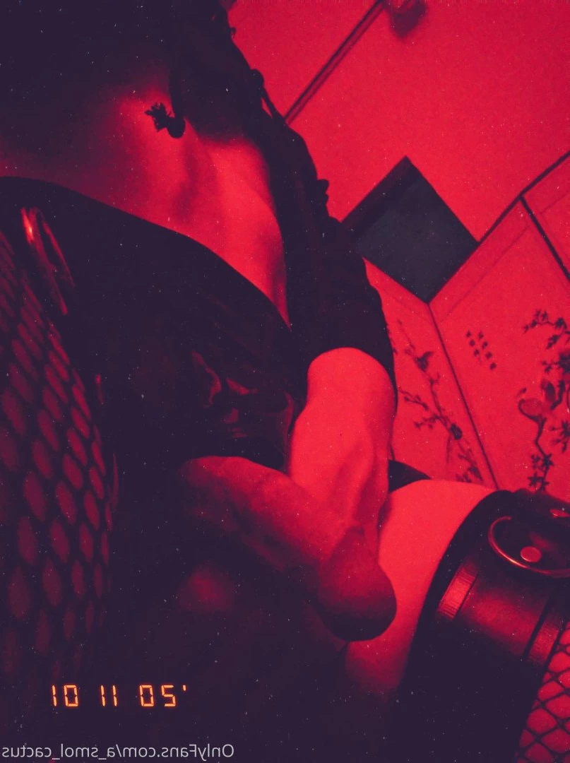 A Smol Cactus [ asmolcactus ] Onlyfans leaked photo 3672639 on Hotleaks.tv