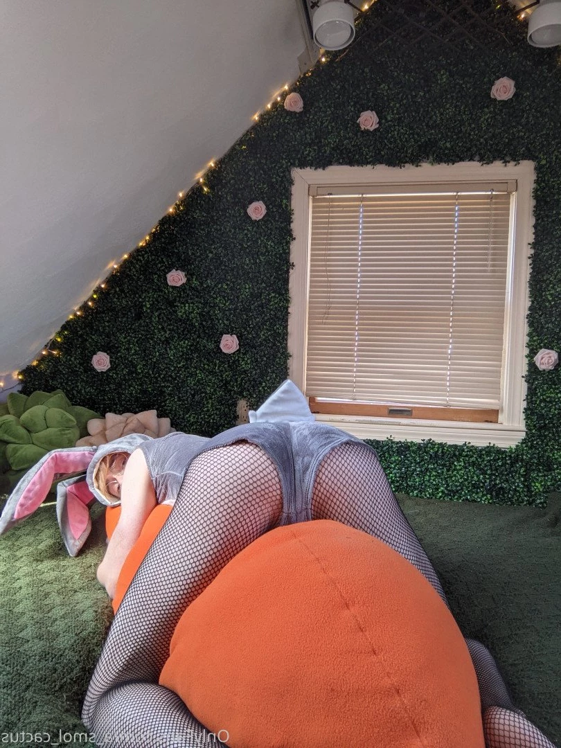 A Smol Cactus [ asmolcactus ] Onlyfans leaked photo 3676568 on Hotleaks.tv