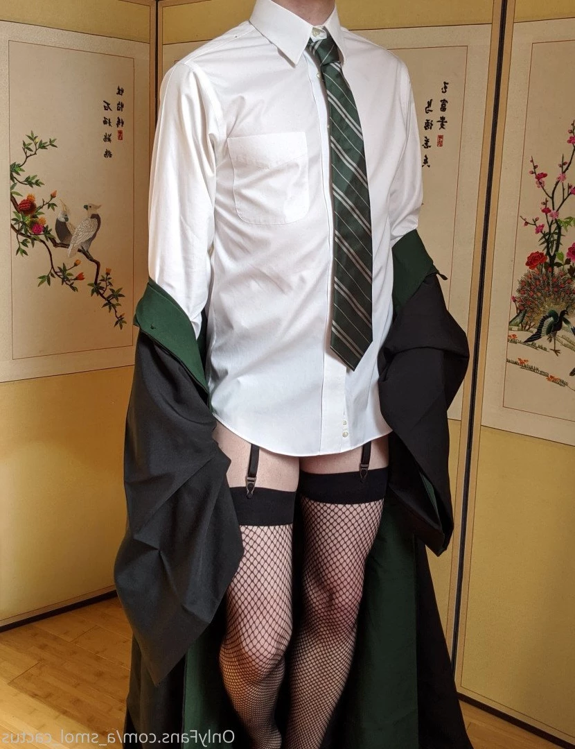 A Smol Cactus [ asmolcactus ] Onlyfans leaked photo 3677947 on Hotleaks.tv