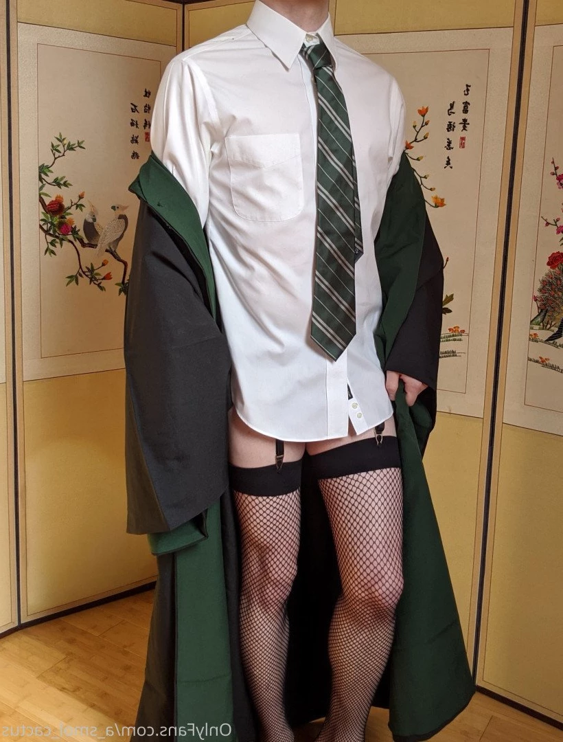 A Smol Cactus [ asmolcactus ] Onlyfans leaked photo 3686490 on Hotleaks.tv