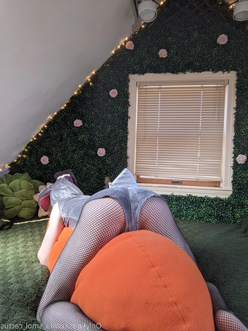 A Smol Cactus [ asmolcactus ] Onlyfans leaked photo 3687078 on Hotleaks.tv