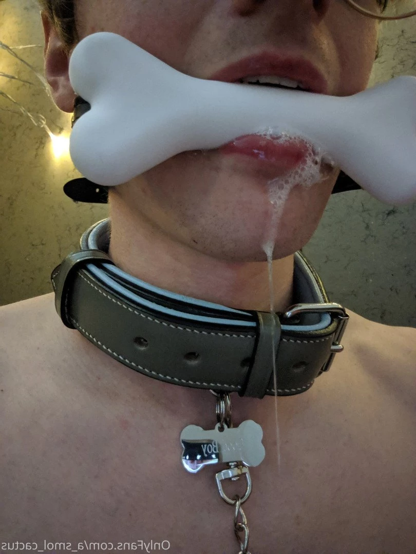 A Smol Cactus [ asmolcactus ] Onlyfans leaked photo 3689029 on Hotleaks.tv