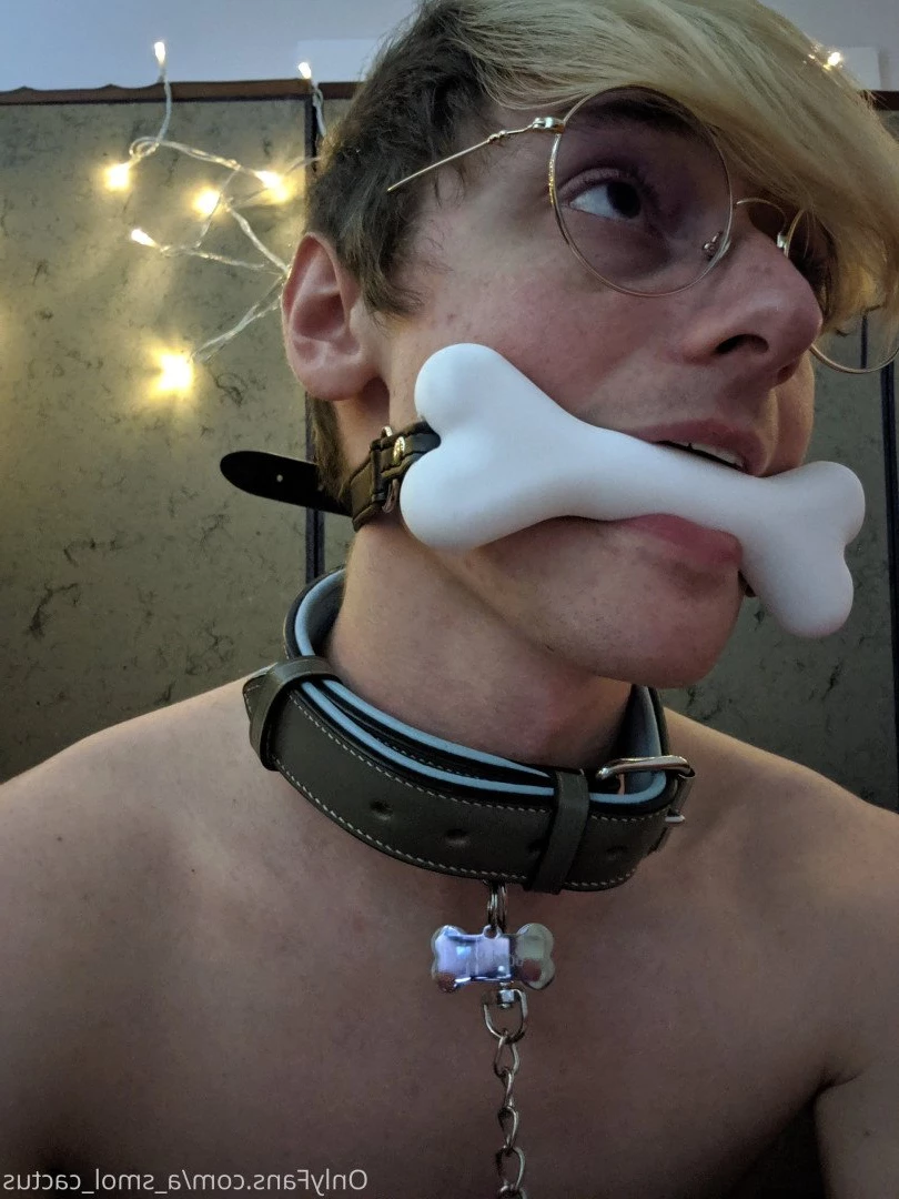 A Smol Cactus [ asmolcactus ] Onlyfans leaked photo 3695058 on Hotleaks.tv