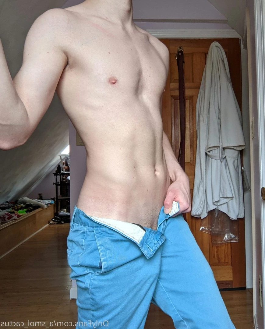 A Smol Cactus [ asmolcactus ] Onlyfans leaked photo 3701898 on Hotleaks.tv