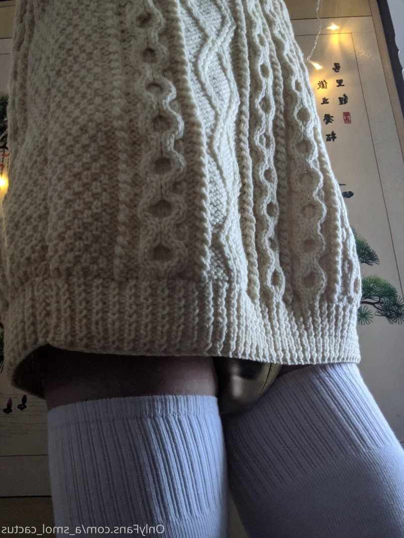 A Smol Cactus [ asmolcactus ] Onlyfans leaked photo 3705854 on Hotleaks.tv
