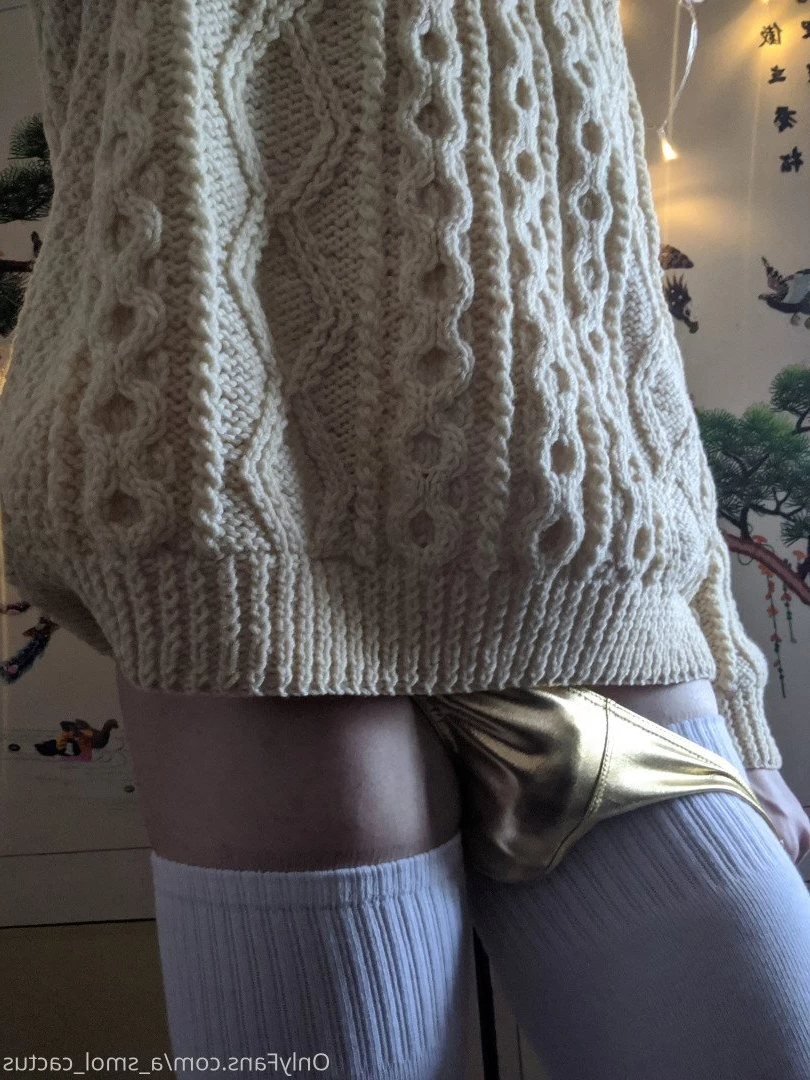 A Smol Cactus [ asmolcactus ] Onlyfans leaked photo 3708520 on Hotleaks.tv