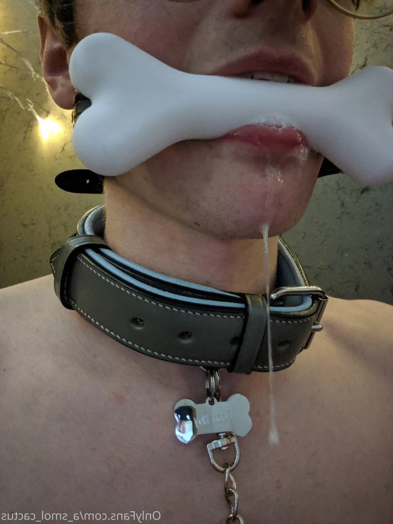 A Smol Cactus [ asmolcactus ] Onlyfans leaked photo 3709503 on Hotleaks.tv