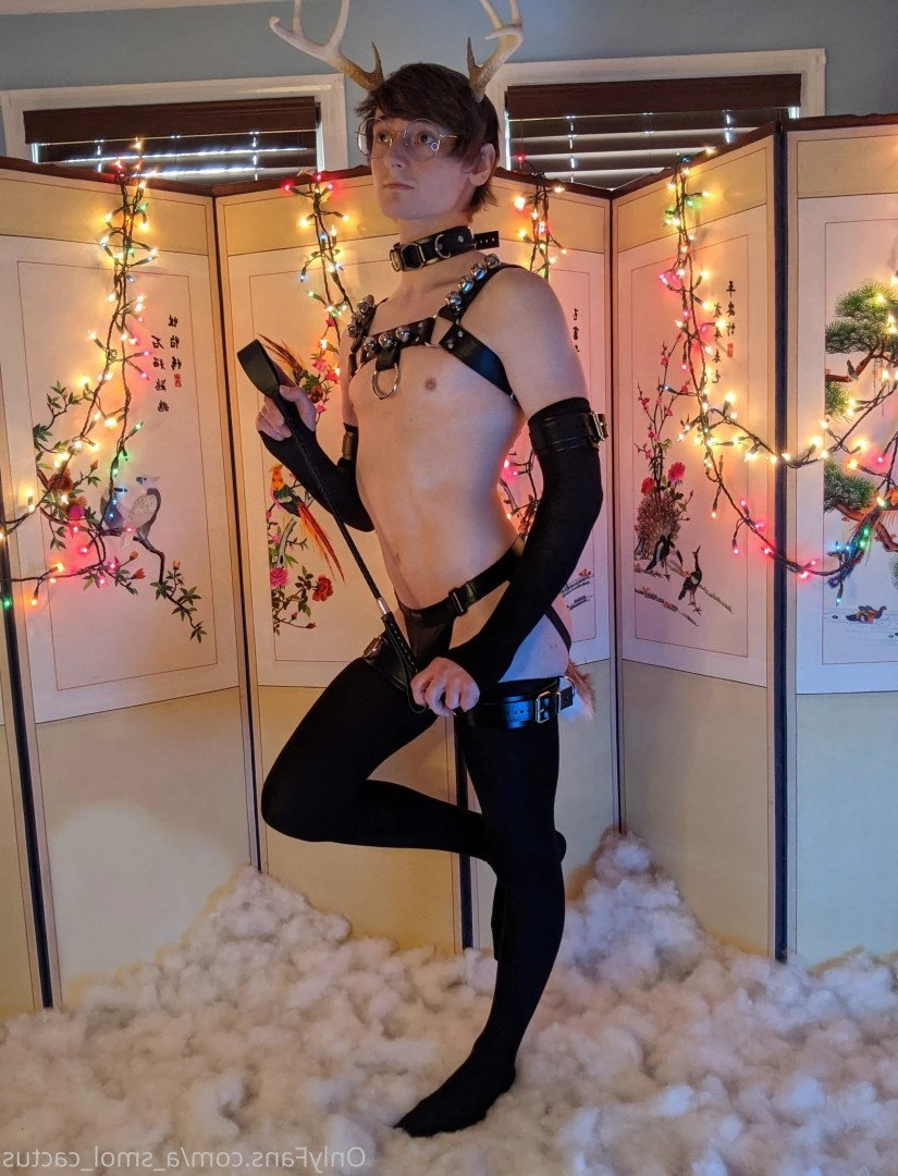 A Smol Cactus [ asmolcactus ] Onlyfans leaked photo 3717292 on Hotleaks.tv