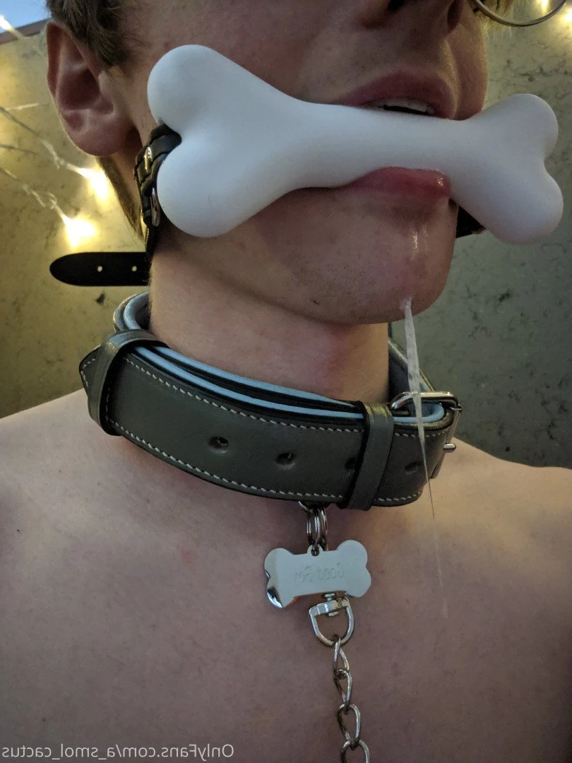 A Smol Cactus [ asmolcactus ] Onlyfans leaked photo 3720039 on Hotleaks.tv
