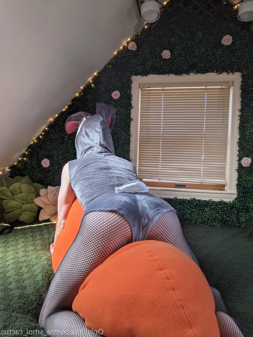 A Smol Cactus [ asmolcactus ] Onlyfans leaked photo 3720141 on Hotleaks.tv