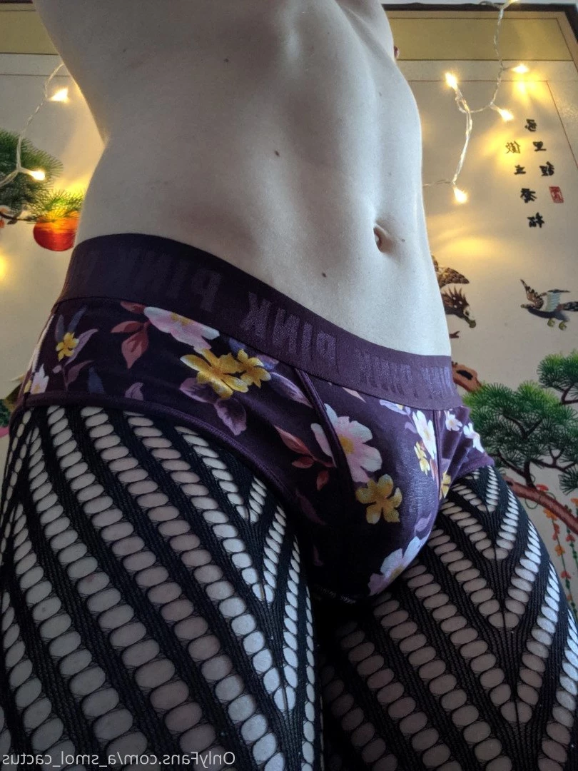 A Smol Cactus [ asmolcactus ] Onlyfans leaked photo 3722071 on Hotleaks.tv