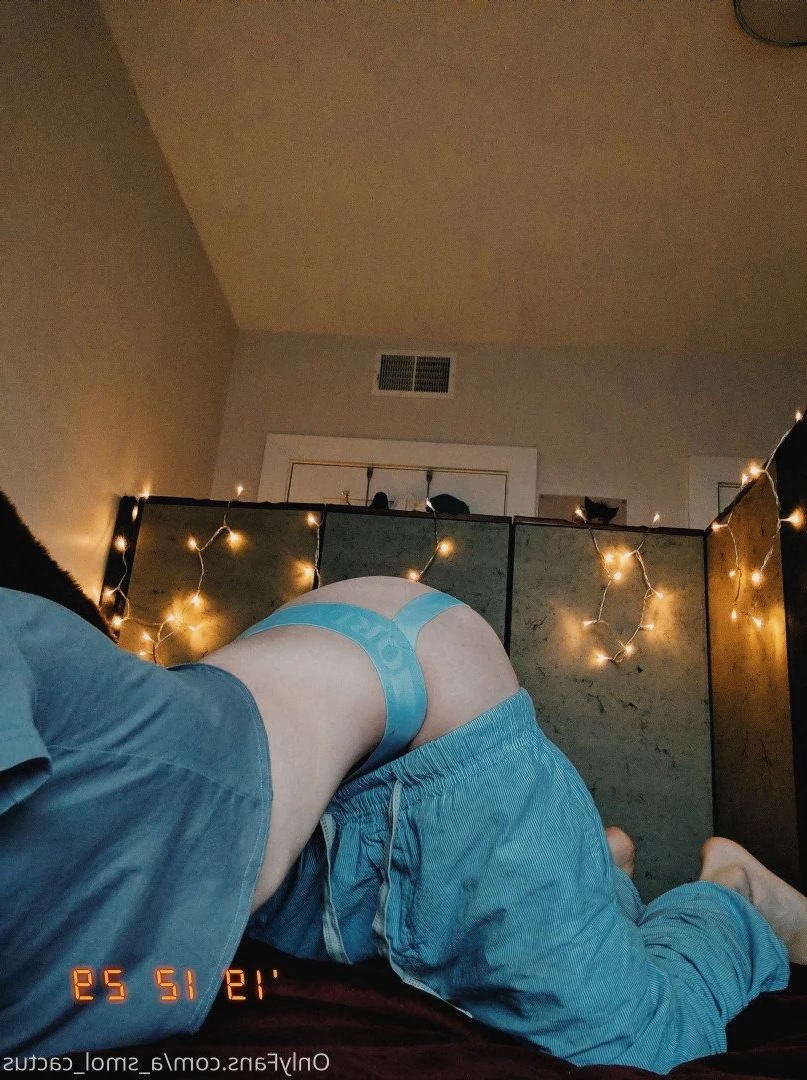 A Smol Cactus [ asmolcactus ] Onlyfans leaked photo 3724773 on Hotleaks.tv