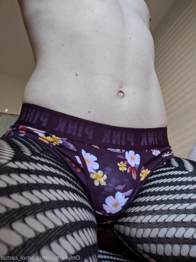 A Smol Cactus [ asmolcactus ] Onlyfans leaked photo 3728106 on Hotleaks.tv