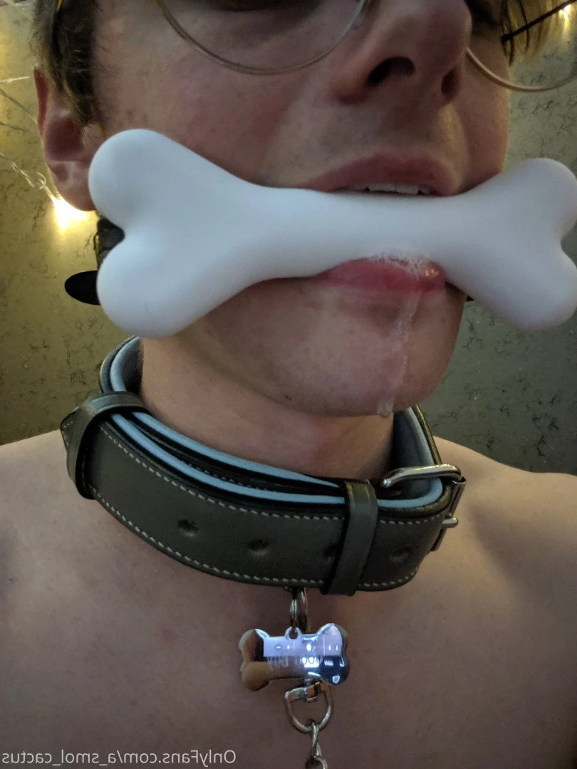A Smol Cactus [ asmolcactus ] Onlyfans leaked photo 3731623 on Hotleaks.tv