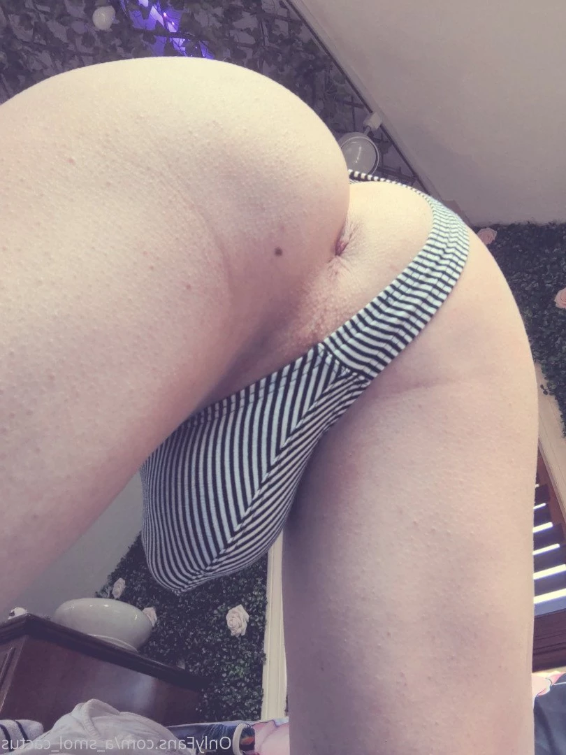 A Smol Cactus [ asmolcactus ] Onlyfans leaked photo 3733017 on Hotleaks.tv