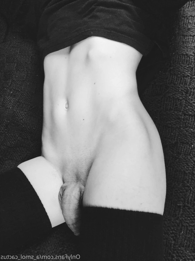 A Smol Cactus [ asmolcactus ] Onlyfans leaked photo 3733406 on Hotleaks.tv