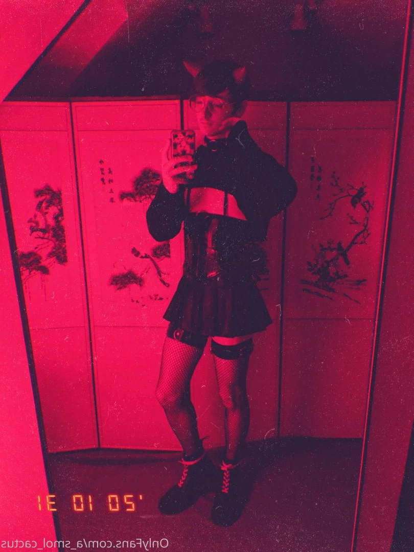 A Smol Cactus [ asmolcactus ] Onlyfans leaked photo 3737126 on Hotleaks.tv