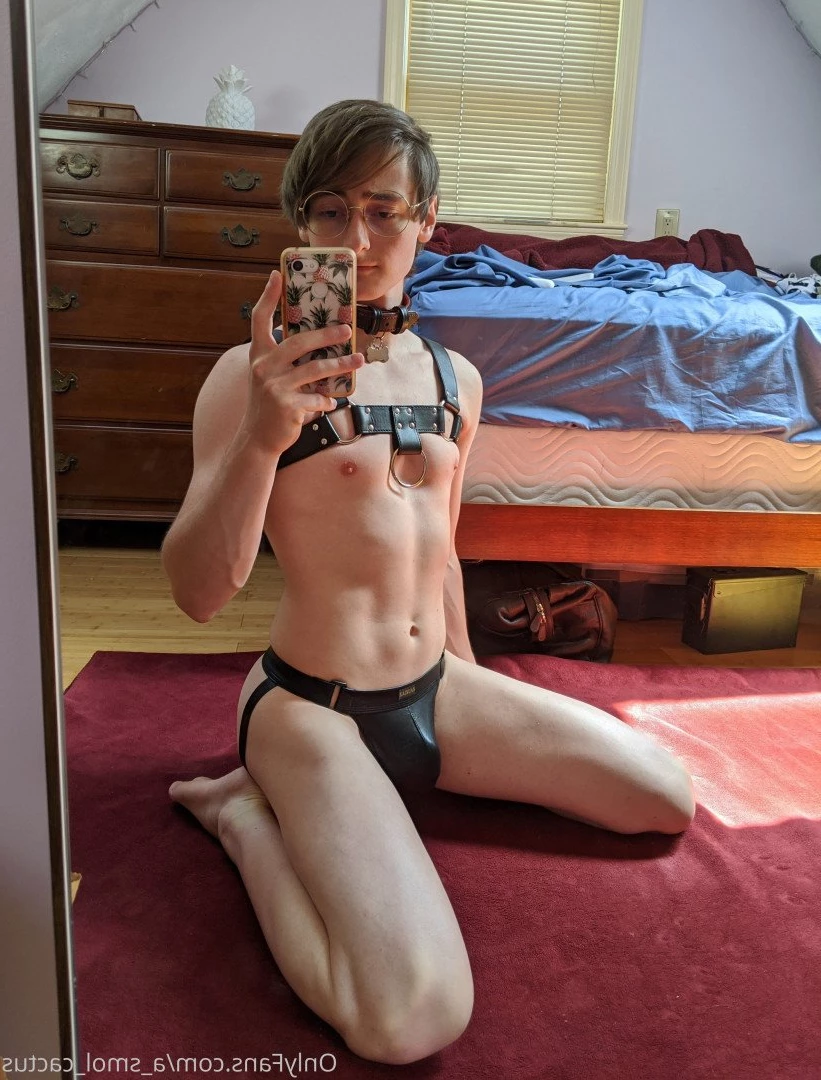 A Smol Cactus [ asmolcactus ] Onlyfans leaked photo 3742962 on Hotleaks.tv